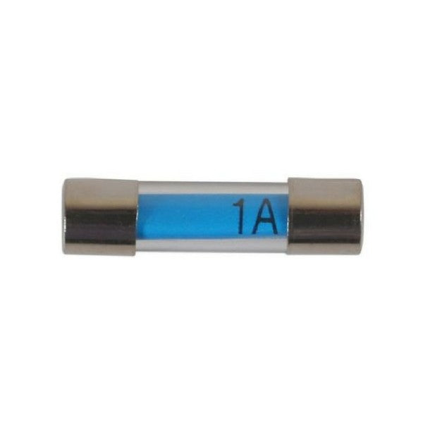 Radio Glass Fuses (20 mm)