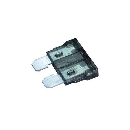 Standard Blade Fuses