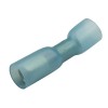 Heat Shrink Female Spade 6.3mm Fully Insulated Heat Shrink Female S...